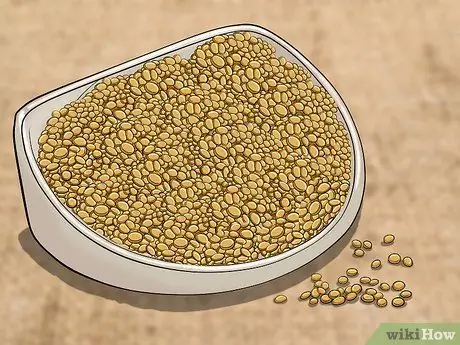 Улучшите салаты из цельнозерновых продуктов, шаг 1