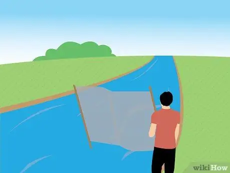 Поймать гольяна Шаг 16