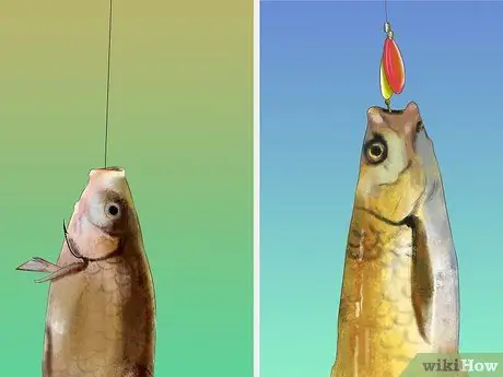 Держи рыбу Шаг 10