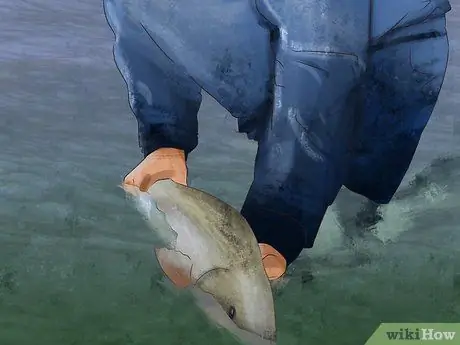 Держи рыбу Шаг 12