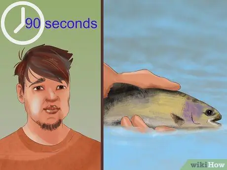 Держи рыбу Шаг 3