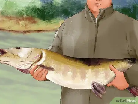 Держи рыбу Шаг 5