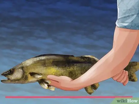 Держи рыбу Шаг 6