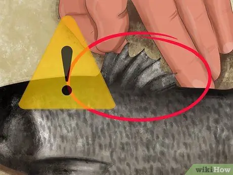 Держи рыбу Шаг 7