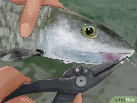 Держи рыбу Шаг 8