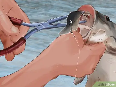 Держи рыбу Шаг 9