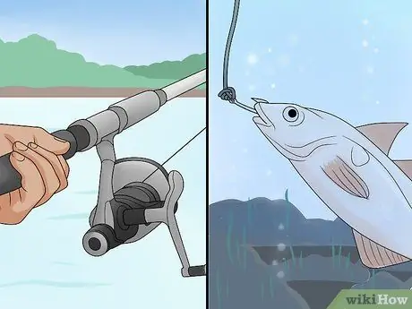 Cast Spinning Tackle Step 13