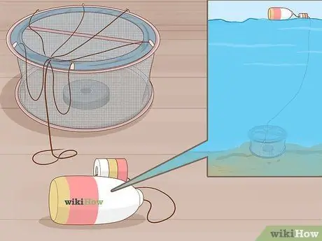 Поймать креветок Шаг 15