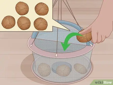 Поймать креветок Шаг 17