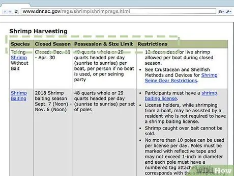 Поймать креветок Шаг 3