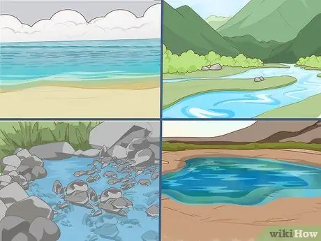 Поймать креветок Шаг 4