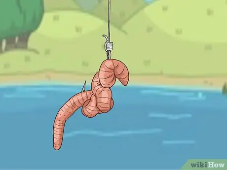 Поймать форель Шаг 12