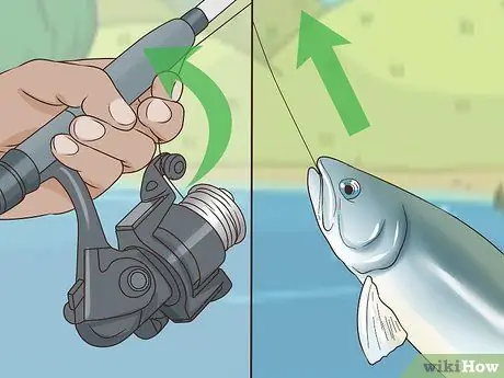 Поймать форель Шаг 15