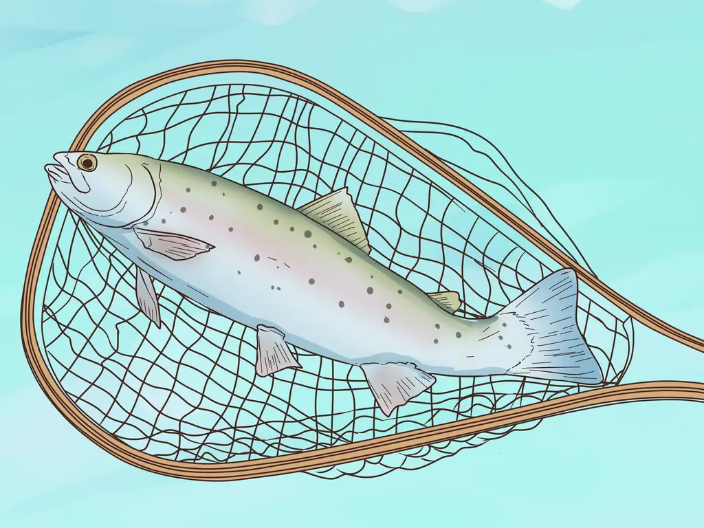 Как поймать форель (с иллюстрациями)