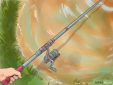 Поймать карпа Шаг 1