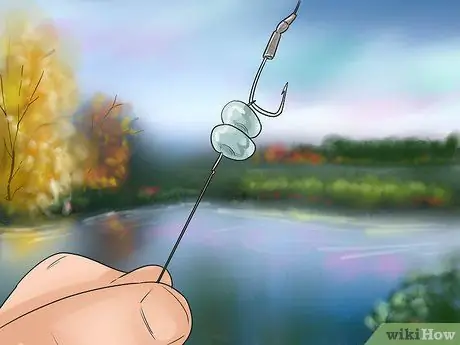 Поймать карпа Шаг 2