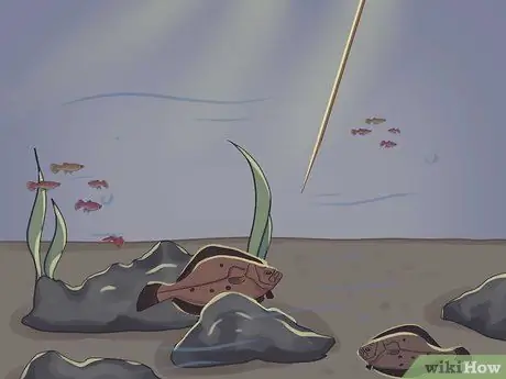 Рыбка на камбалу Шаг 11