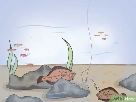 Рыбка на камбалу Шаг 9