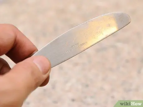 Шак Моллюски Шаг 5