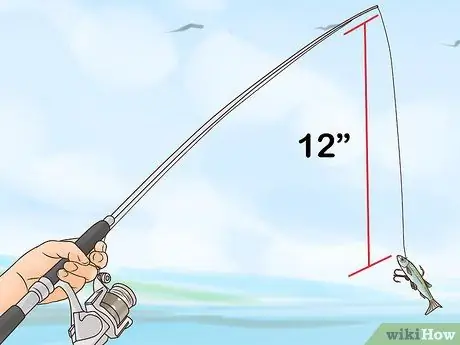 Сделайте джиг-рыбалку, шаг 4