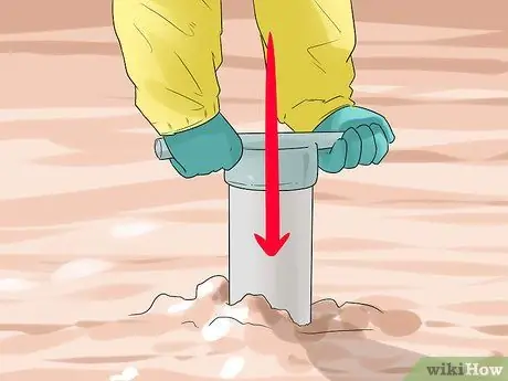 Копайте тихоокеанских моллюсков-бритв, шаг 10