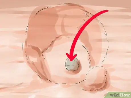 Копайте тихоокеанских моллюсков-бритв, шаг 12