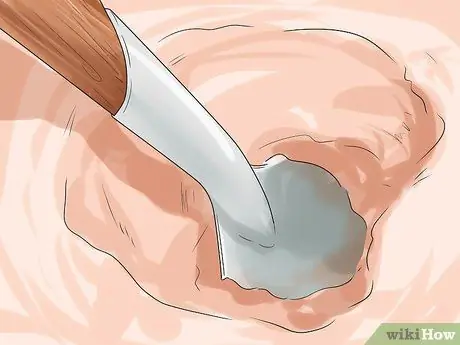 Копайте тихоокеанских моллюсков-бритв, шаг 3