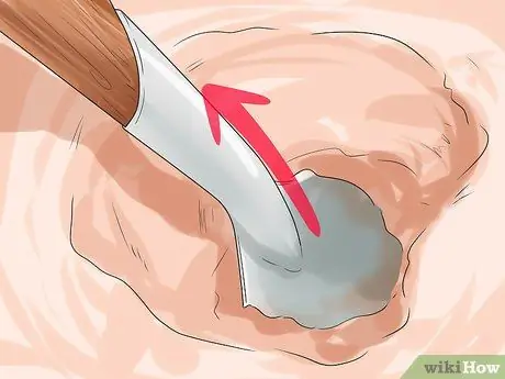 Копайте тихоокеанских моллюсков-бритв, шаг 4