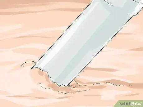 Копайте тихоокеанских моллюсков-бритв, шаг 8