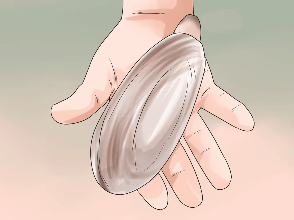 Как выкопать тихоокеанских моллюсков-бритв: 13 шагов (с иллюстрациями)