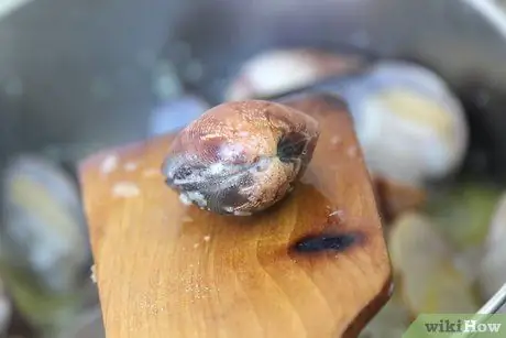 Готовить моллюсков Шаг 5 Пуля 2