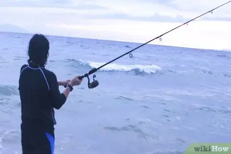 Рыба (для начинающих) Шаг 7