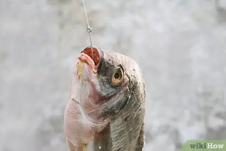 Рыба (для начинающих) Шаг 9