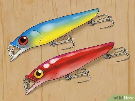 Выловите рыбу в небольшом ручье, шаг 11