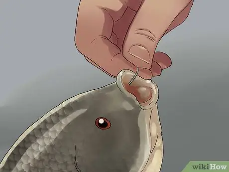 Выловите рыбу в небольшом ручье, шаг 13