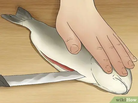 Выловите рыбу в небольшом ручье, шаг 15