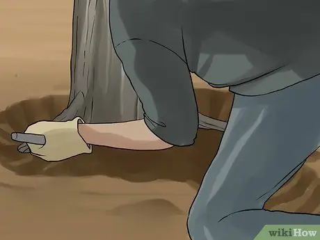 Выловите рыбу в небольшом ручье, шаг 4