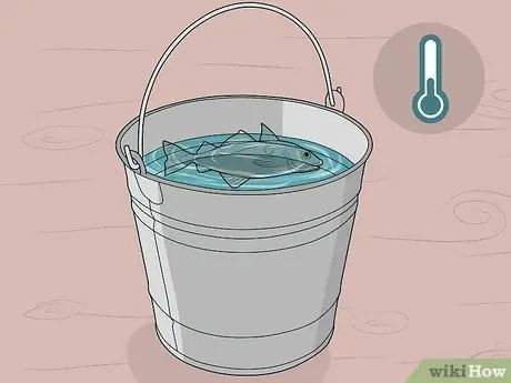 Прокачать рыбу Шаг 4