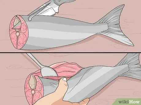 Прокачать рыбу Шаг 6