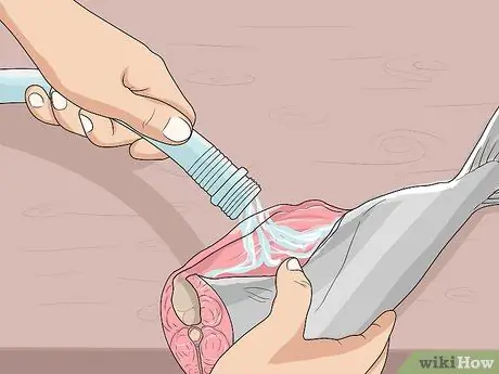 Прокачать рыбу Шаг 7