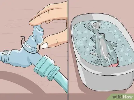 Прокачать рыбу Шаг 10