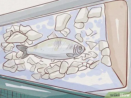 Безопасно ешьте суши Шаг 14