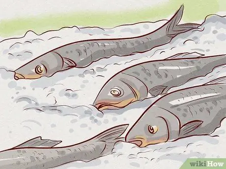 Безопасно ешьте суши, шаг 3