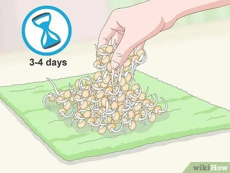 Съешьте семена пажитника, шаг 7