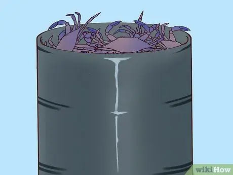 Съешьте Мэрилендского голубого краба, шаг 5