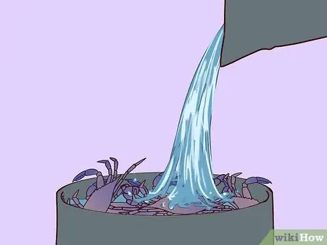 Съешьте голубого краба Мэриленд Шаг 6