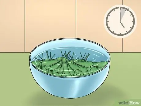 Съешьте семена клена, шаг 3