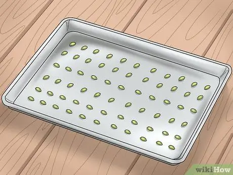 Ешьте семена клена, шаг 5