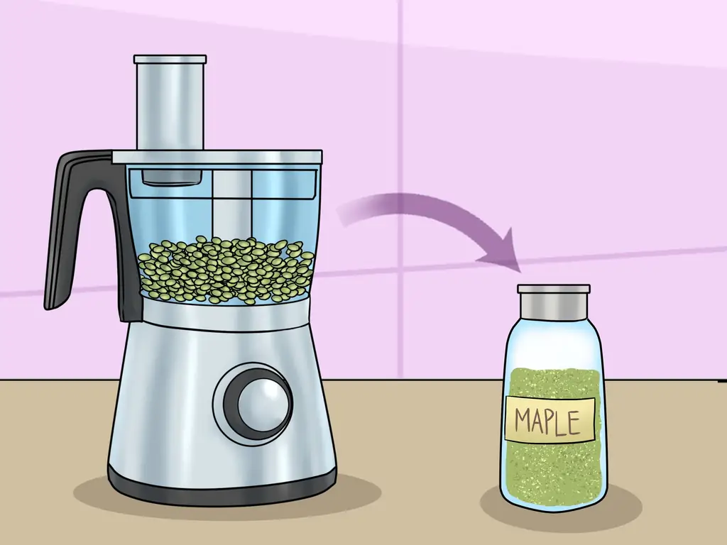 4 способа есть семена клена