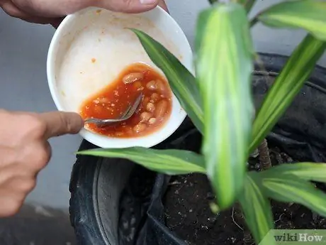 Ешьте то, что ненавидите Шаг 15